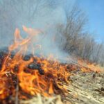 əkin sahələrində yanğın