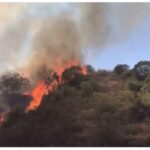 Ermənilər Laçında meşəyə od vurub