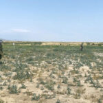 Mühəndis bölmələri