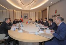 SOCAR-ın prezidenti Türkiyənin energetika və təbii sərvətlər nazirinin müavini ilə görüşüb