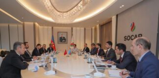 SOCAR-ın prezidenti Türkiyənin energetika və təbii sərvətlər nazirinin müavini ilə görüşüb