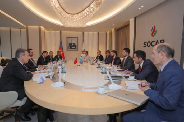 SOCAR-ın prezidenti Türkiyənin energetika və təbii sərvətlər nazirinin müavini ilə görüşüb