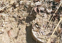 Erməni hərbi birləşmələri tərəfindən basdırılmış tələ-mina aşkar edilib mina