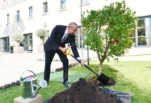 Azərbaycan Prezidenti İlham Əliyev açılışda iştirak edib
