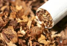 Tütün məmulatlarının məcburi nişanlamaya görə rüsumdan azad edilməsinə dair layihə I oxunuşda təsdiqlənib Tütün məmulatları