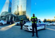 Yol polisi
