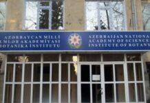 Botanika İnstitutunda struktur dəyişikliyi edilib Botanika İnstitutu