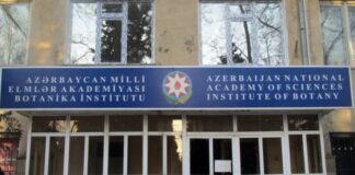 Botanika İnstitutu