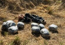 Azərbaycan sərhədini ötən ay saxta sənədlərlə keçməyə cəhd göstərən 30 nəfər saxlanılıb qaçaqmalçılıq