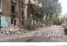 Sumqayıtda ağacların kəsilməsi nəticəsində təbiətə 26 min manatdan çox ziyan dəyib Sumqayıtda ağacların kəsilməsi