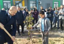 Ağalı kəndində ağacəkmə aksiyası