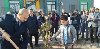 Ağalı kəndində ağacəkmə aksiyası