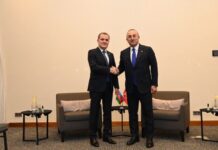 Ceyhun Bayramov Polşada Mövlud Çavuşoğlu ilə görüşüb