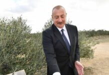 Prezident İlham Əliyev Zirə qəsəbəsində zeytun yağı və süfrəlik zeytun məhsullarının emalı zavodunun açılışında iştirak edib Prezident İlham Əliyev Zirə qəsəbəsində zeytun yağı və süfrəlik zeytun məhsullarının emalı zavodunun açılışında iştirak edib