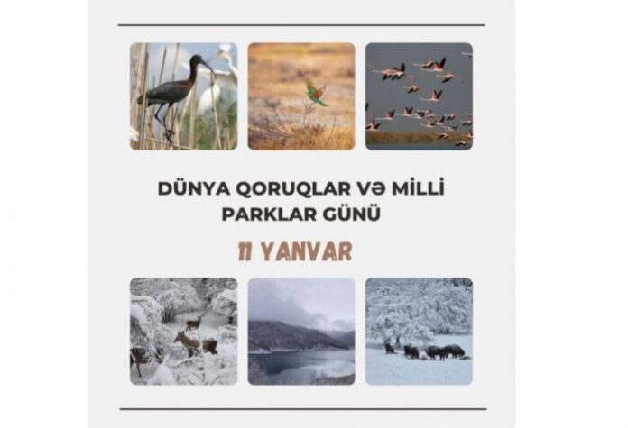 Dünya Qoruqlar və Milli Parklar Günü