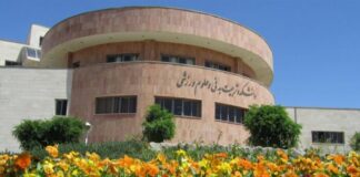 Əllamə Təbatəbai adına Universitet