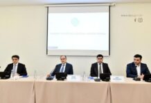 Elektron İdman Növləri Federasiyası
