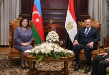 Milli Məclisin sədri Sahibə Qafarova Misir Ərəb Respublikasına rəsmi səfəri çərçivəsində fevralın 6-da bu ölkə Senatının sədri Abdel Vahab Abdel Razeq ilə görüşüb