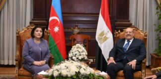 Milli Məclisin sədri Sahibə Qafarova Misir Ərəb Respublikasına rəsmi səfəri çərçivəsində fevralın 6-da bu ölkə Senatının sədri Abdel Vahab Abdel Razeq ilə görüşüb
