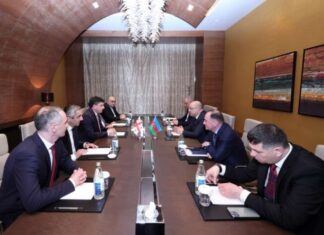 Gürcüstan Gəlirlər Xidmətinin rəhbəri Levan Kakava ilə Dövlət Gömrük Komitəsinin (DGK) sədri Şahin Bağırov