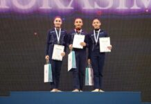 Bədii gimnastika üzrə 28-ci Azərbaycan çempionatı