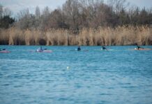 Mingəçevirdə avarçəkmə üzrə Gənclər Kuboku keçirilib Mingəçevirdə avarçəkmə üzrə Gənclər Kuboku