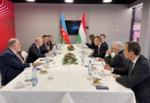 Pərviz Şahbazovun Budapeştdə Türk Dövlətləri Təşkilatının (TDT) enerji nazirlərinin 3-cü iclası çərçivəsində Macarıstanın xarici işlər və ticarət naziri Peter Siyarto ilə keçirilən görüşdə