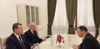 Azərbaycan Respublikası Milli Məclisinin beynəlxalq münasibətlər və parlamentlərarası əlaqələr komitəsinin sədri Səməd Seyidov, Türkiyə Böyük Millət Məclisinin komitə sədri Akif Çağatay Kılıç və Gürcüstan parlamentinin komitə sədri Nikoloz Samxaradze