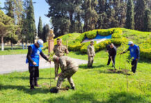 Azərbaycan Ordusunda keçirilən ağacəkmə aksiyaları