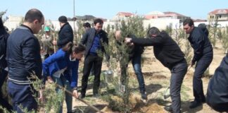 ağacəkmə aksiyası