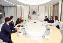 SOCAR-ın prezidenti “Boston Consulting Group” şirkətinin idarəedici direktoru və baş tərəfdaşı ilə görüşüb