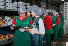 Beynəlxalq Bitki Sağlamlığı Günü ilə bağlı maarifləndirmə tədbirləri keçirilir Beynəlxalq Bitki Sağlamlığı Günü