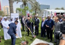 Heydər Əliyevin 100 illik yubileyi münasibətilə Qətərdə ağacəkmə aksiyası keçirilib
