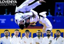 Avropa Kata çempionatı