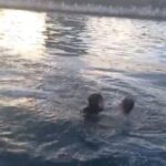 Dənizkənarı Milli Park ərazisində dənizdə batan şəxs