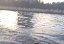 Dənizkənarı Milli Park ərazisində dənizdə batan şəxs