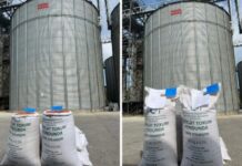 Dövlət Toxum Fondu hüquqi və fiziki şəxslərə müraciət edib Dövlət Toxum Fondu hüquqi və fiziki şəxslərə müraciət edib