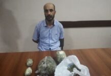Kamran İsmayılov