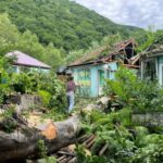 Oğuzda güclü külək fəsadlar törədib