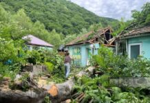 Oğuzda güclü külək fəsadlar törədib Oğuzda güclü külək fəsadlar törədib