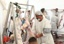 Bakıda Qurban kəsimi
