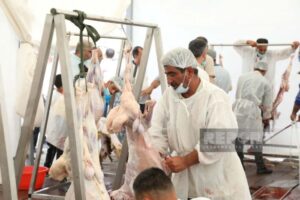 Bakıda Qurban kəsimi