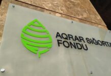 Aqrar Sığorta Fondu: “Güclü yağış və daşqınlardan zərər çəkən təsərrüfatlara kompensasiya veriləcək” Aqrar Sığorta Fondu