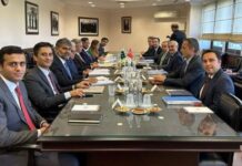 Türkiyə və Pakistan birgə hərbi müəssisələr yaradacaq