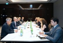 Azərbaycan və Fransanın "Total Energies" şirkəti energetika sahəsində həyata keçirilən birgə layihələri müzakirə edib