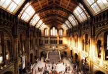 Britaniya Muzeyindən oğurlanan 2 min tarixi əsərin axtarışlarına başlanılıb Britaniya Muzeyi