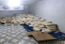 qanunsuz fəaliyyət göstərən pendir anbarı