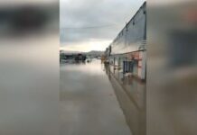 “Binə” və “Sədərək” ticarət mərkəzlərində subasmadan zərər çəkənlər sığorta ödənişi alacaq subasma