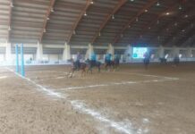 Çövkən üzrə dünya çempionatı: Azərbaycan millisi Qazaxıstanı məğlub edib Çövkən