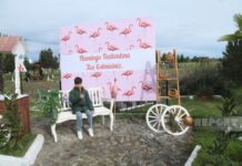 Qızılağac Milli Parkında Flaminqo Festivalı keçirilib Flaminqo Festivalı